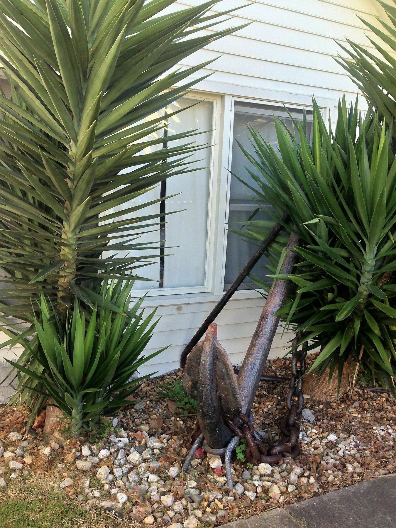 Ruby'S Queenscliff Exterior photo